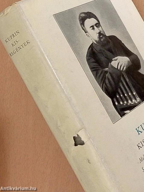 Kisregények