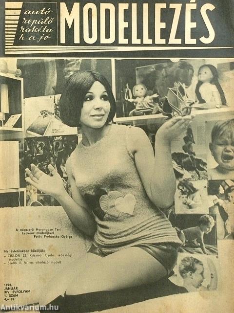 Modellezés 1972. január