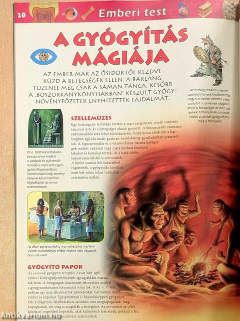 Tudorka Magazin 82.
