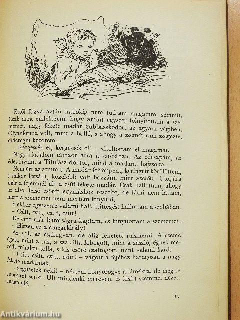Kincskereső kisködmön