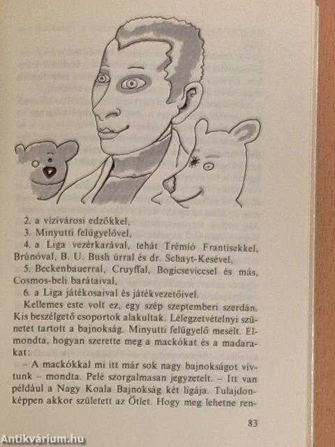 Nagy gombfocikönyv