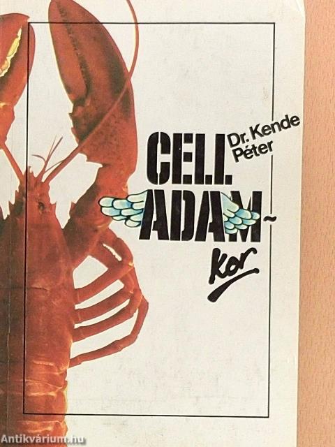 Celladam-kor
