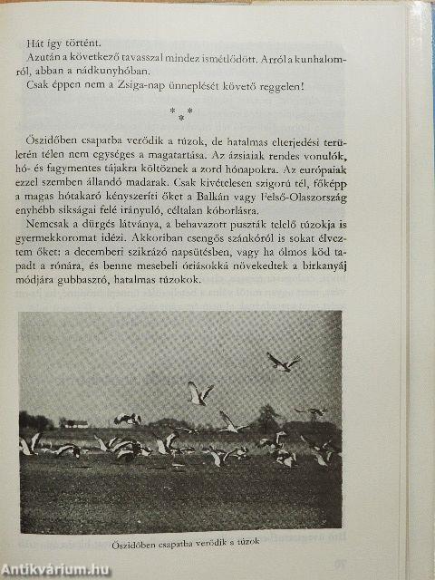 A természet szolgálatában