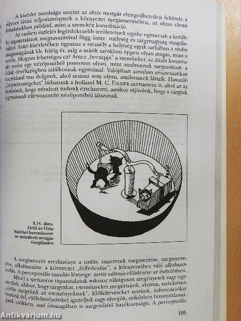 A pszichológia alapjai