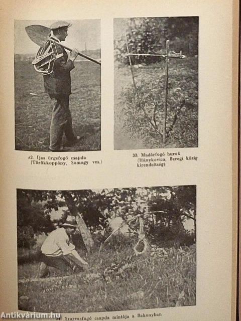 A magyar nép