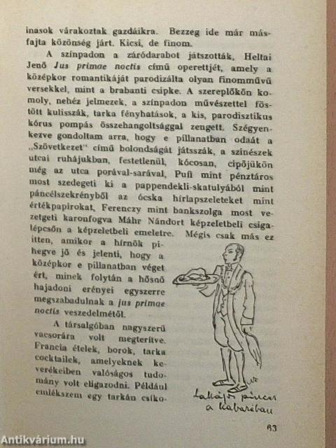 A kabaré regénye
