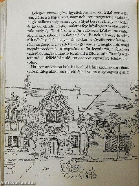 Anne otthonra talál