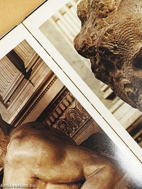 L'opera completa di Michelangelo scultore