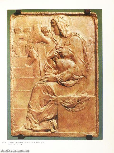 L'opera completa di Michelangelo scultore