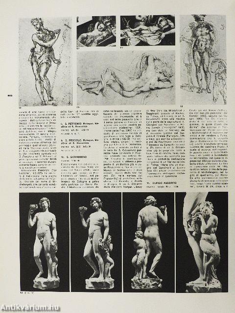 L'opera completa di Michelangelo scultore