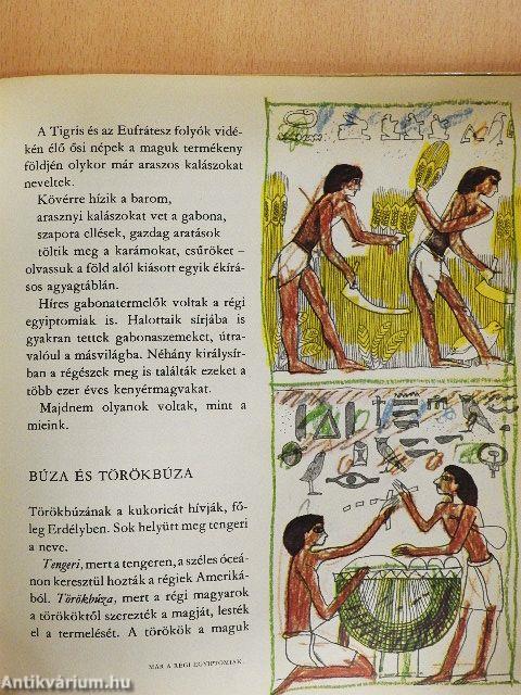 Népek kenyere