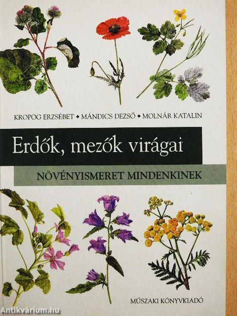 Erdők, mezők virágai