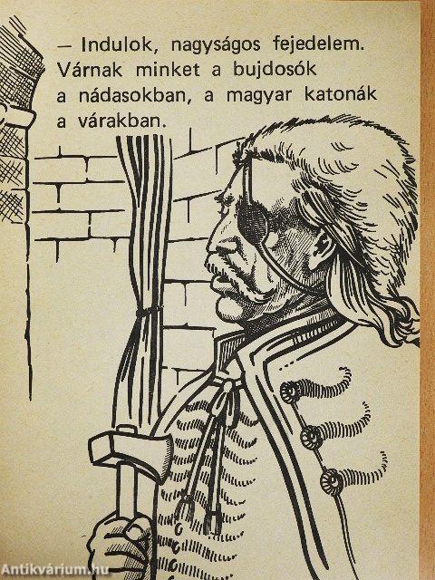 Vak Bottyán