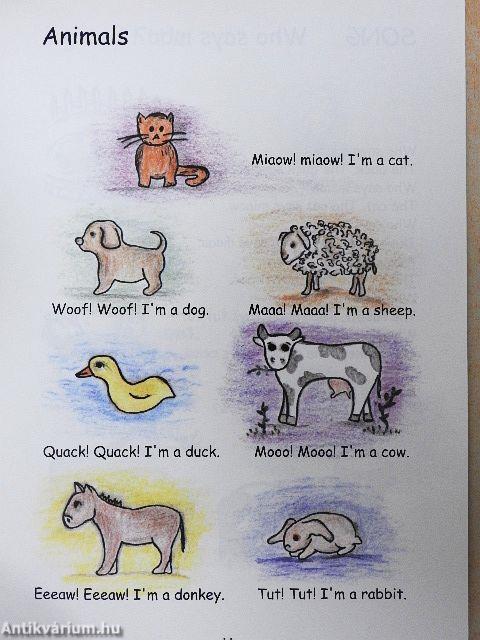 English for Infants