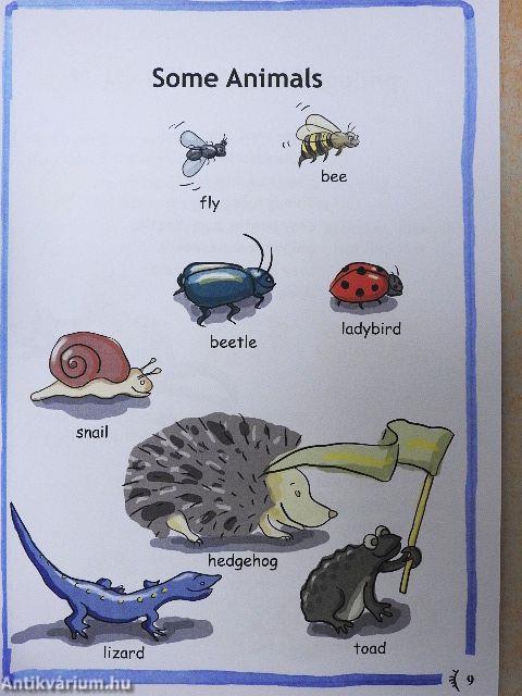 More English For Infants