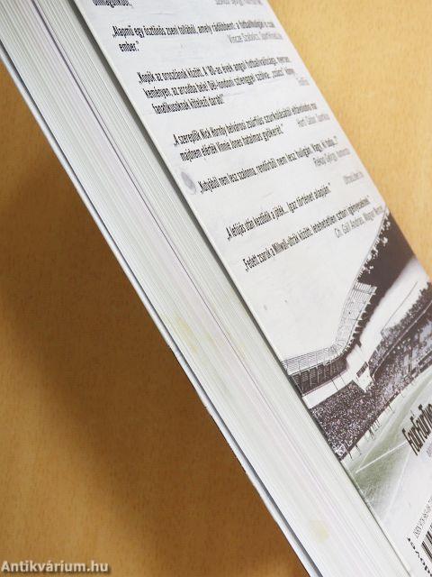 A beépített huligán