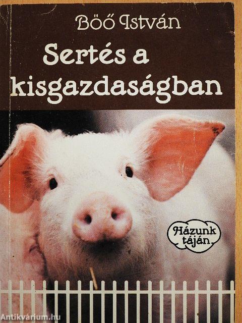 Sertés a kisgazdaságban