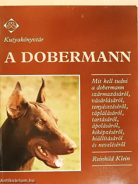 A dobermann