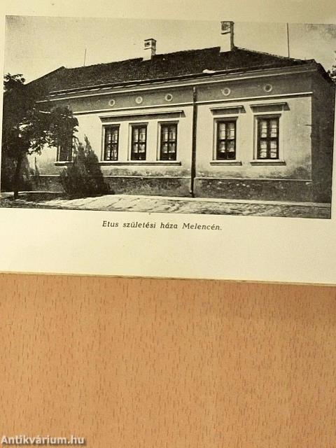 Érd angyala