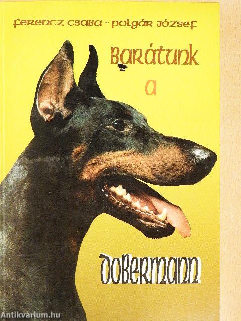 Barátunk a dobermann