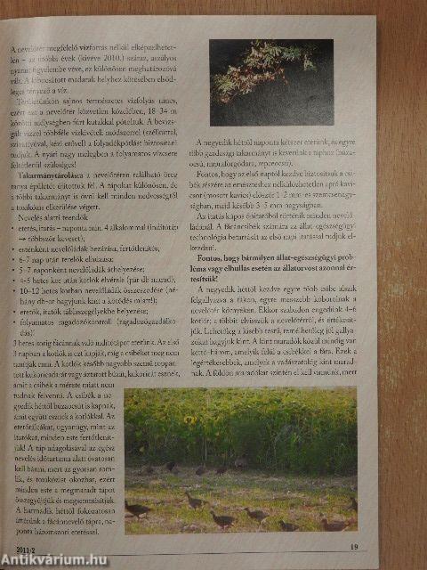 Jó vadászatot! 2011/2.