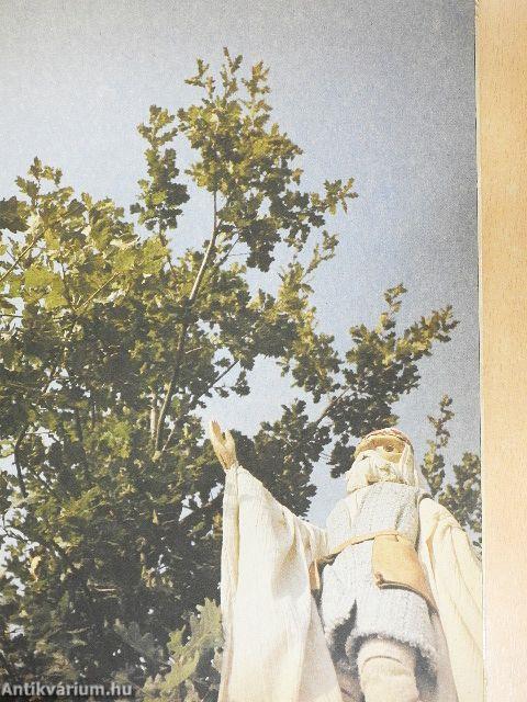 A csodamalom