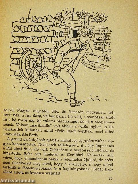 A Pál utcai fiúk