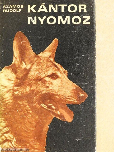 Kántor nyomoz