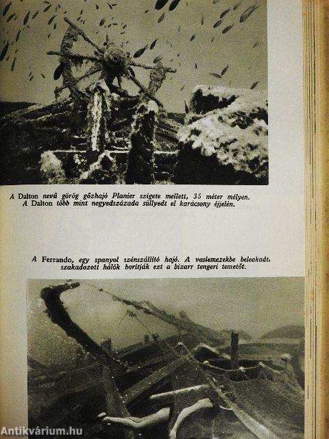 A csend világa
