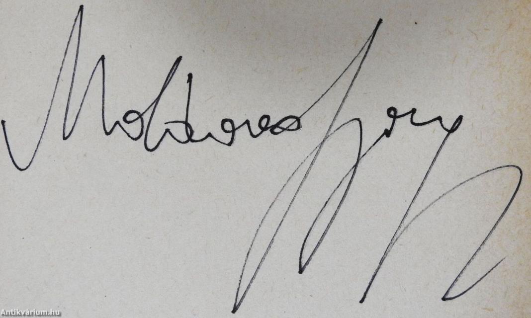 A napló (aláírt példány)