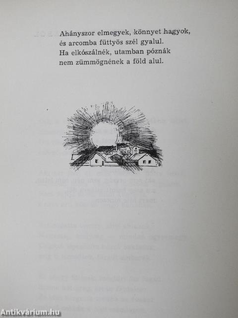 Delelő (dedikált példány)