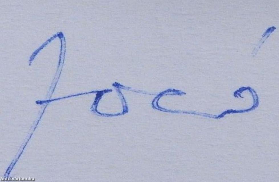 Utcák, terek, emléktáblák V. (dedikált példány)