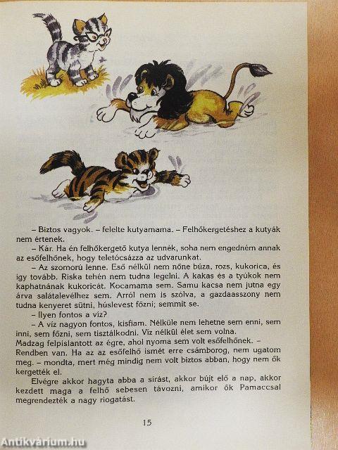Madzag és a világ