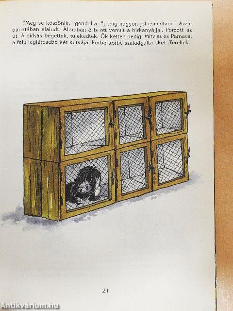 Madzag és a világ