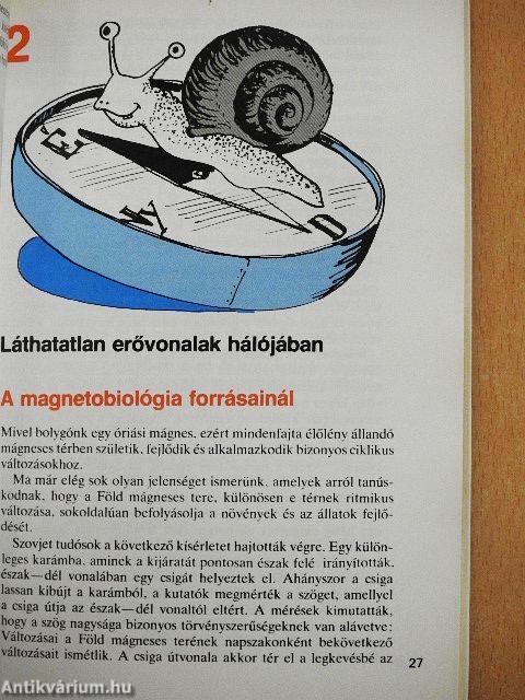 A mágnesség csodái