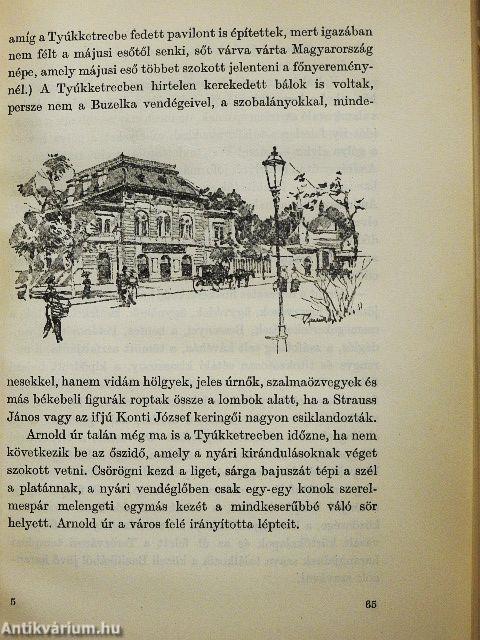 Pest-budai séták