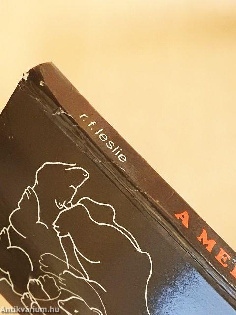 A medvék - és én