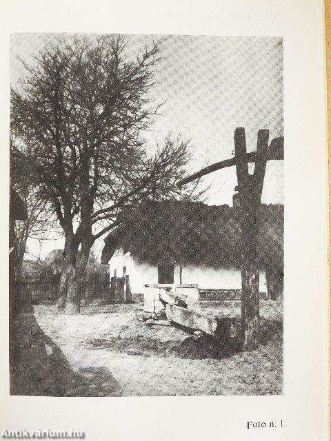 Endre Ady 1877-1919