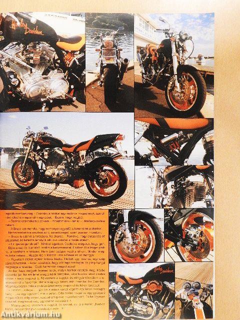Born to be Wild 2003. november