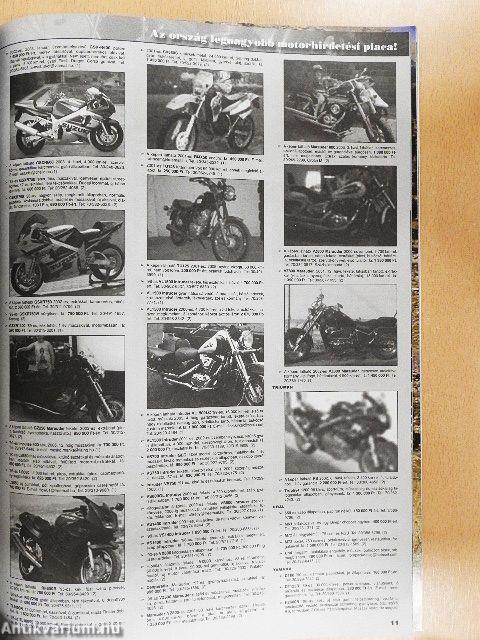Born to be Wild 2003. december