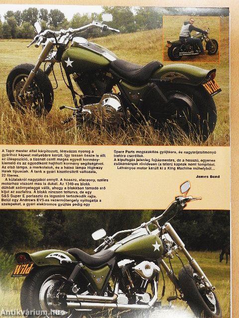 Born to be Wild 2004. január
