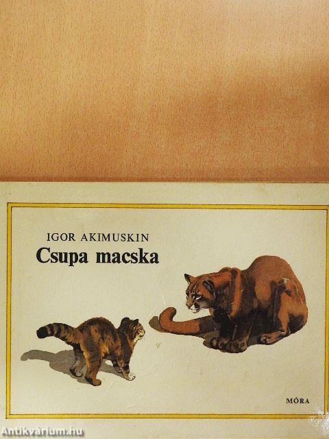Csupa macska