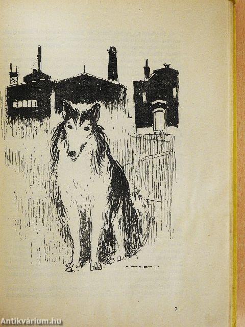 Lassie hazatér