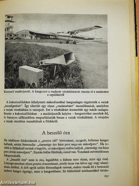 Tarkabarka fizika
