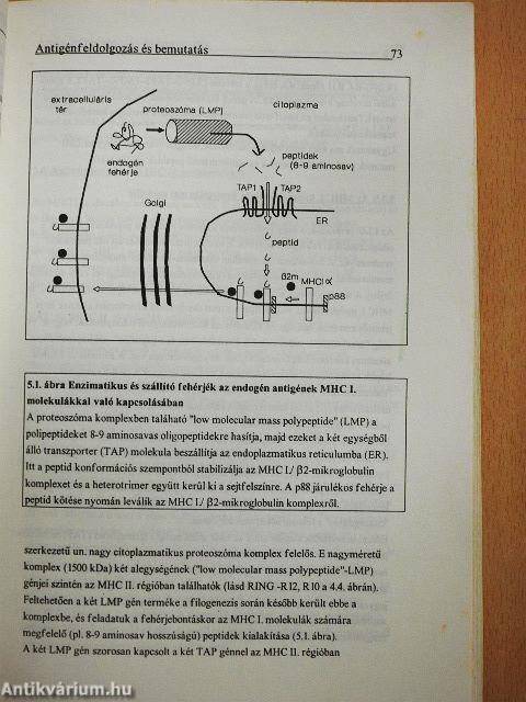 Immunológia