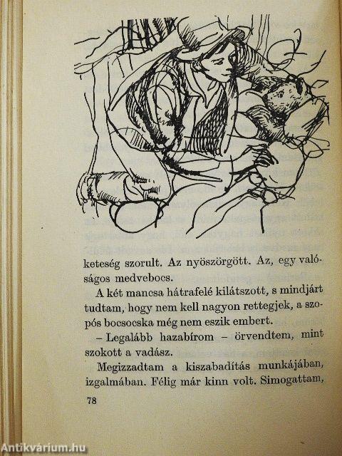 Tündér a havason