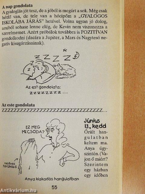 Napló-szörny