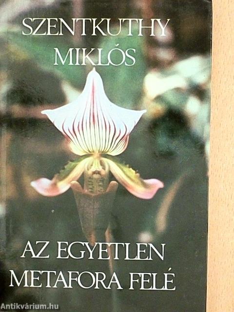Az egyetlen metafora felé