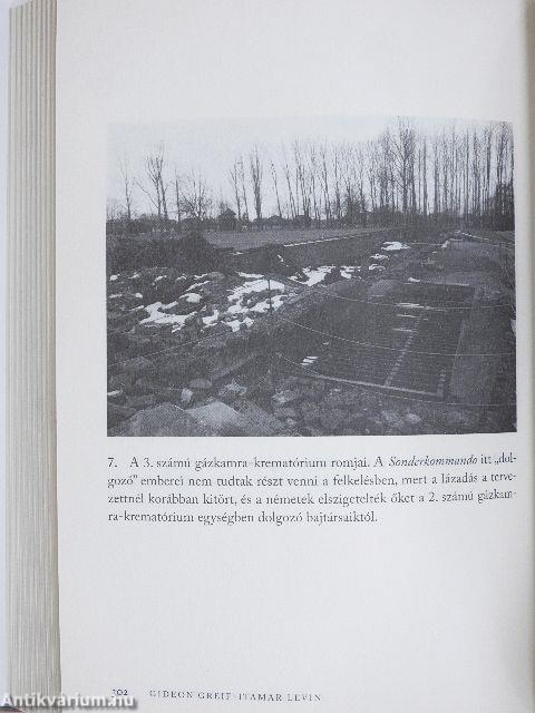 Felkelés Auschwitzban