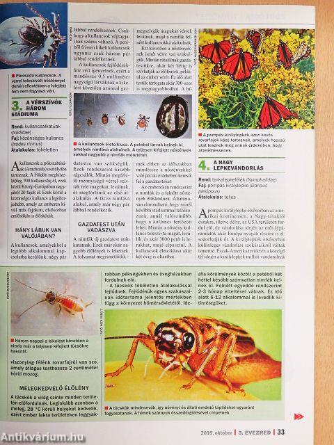 3. Évezred 2016. október